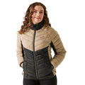 Warm Taupe-Black - Lifestyle - Regatta Womens-Ladies Dalent Quilted Jacket