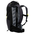 Black-Seal Grey - Back - Regatta Highton V2 35L Backpack