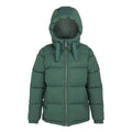 Dark Forest Green - Front - Regatta Womens-Ladies Arilie Quilted Jacket