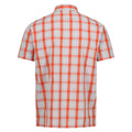 Silver Grey-Rusty Orange - Back - Regatta Mens Denmoor Checked Shirt