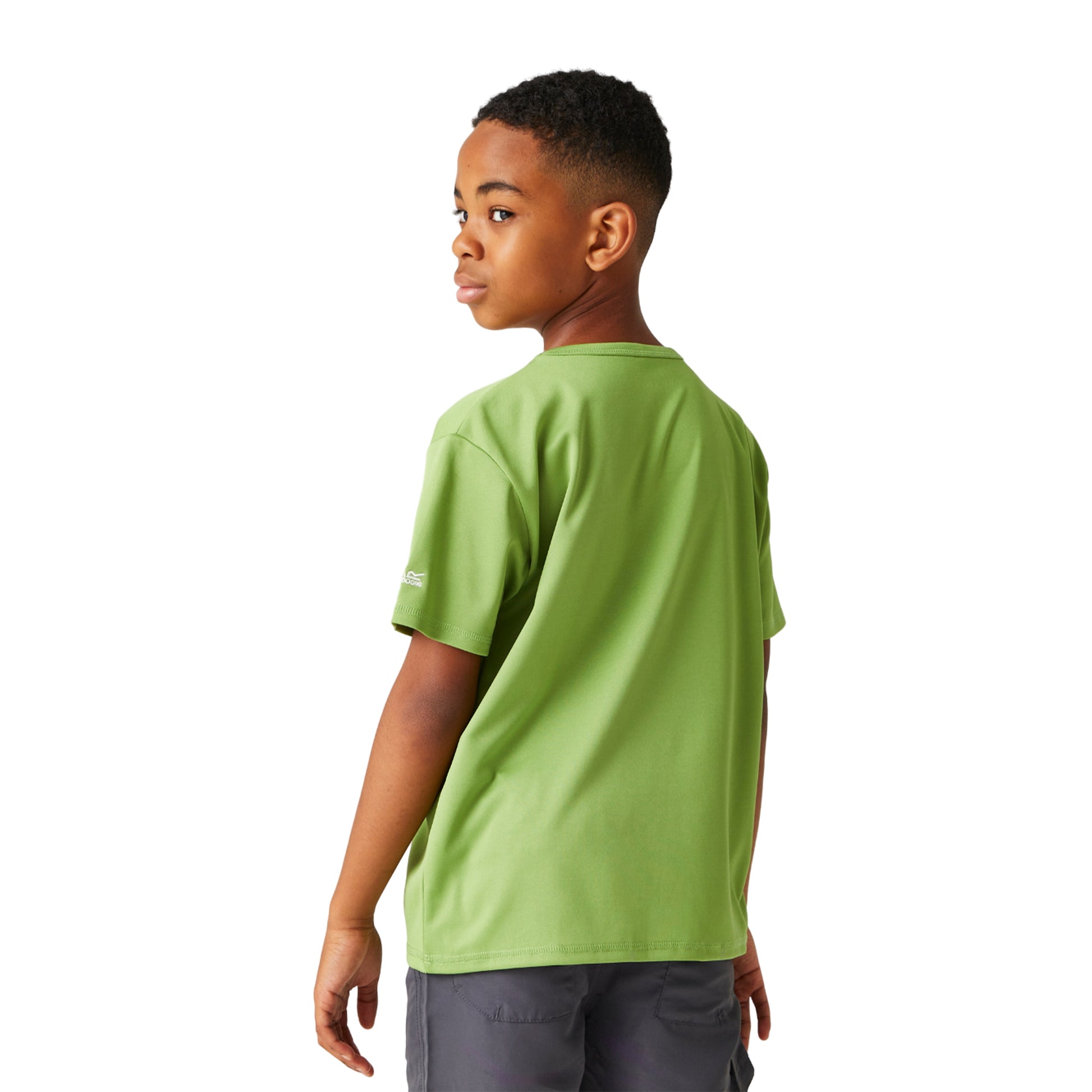 Piquant Green - Pack Shot - Regatta Childrens-Kids Alvardo VIII Exploration T-Shirt