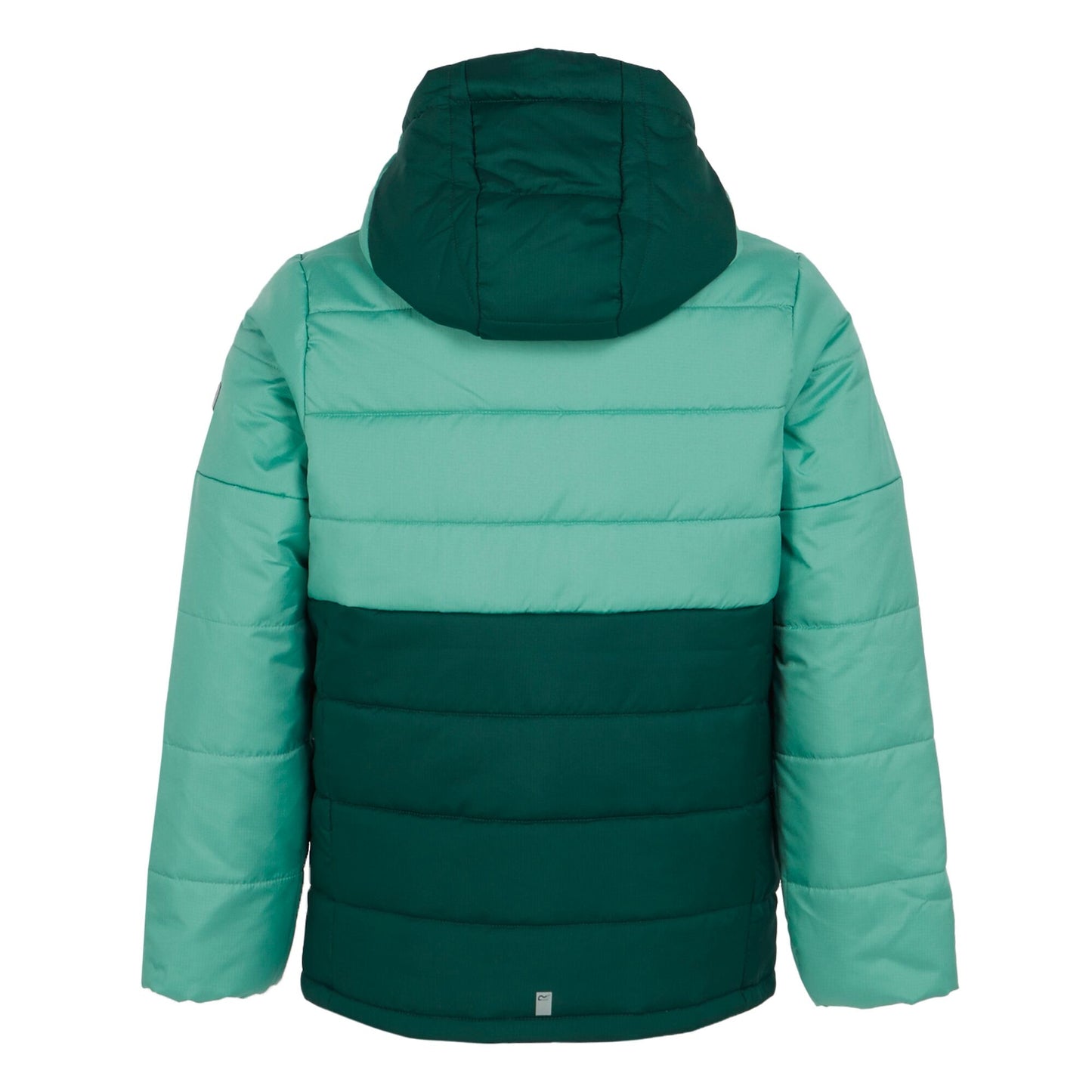 Dusty Green-Rainforest - Back - Regatta Childrens-Kids Lofthouse VIII Insulated Jacket