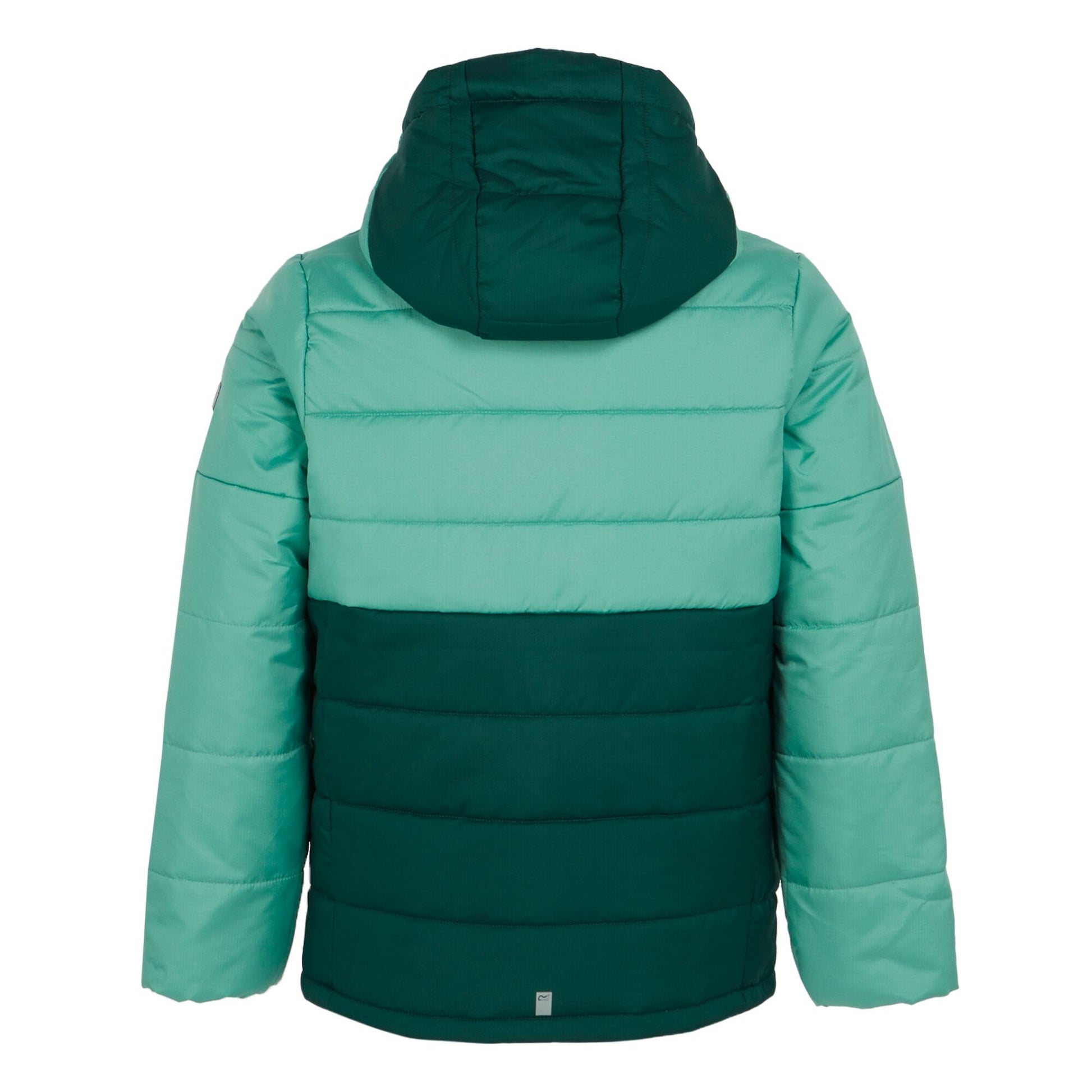 Dusty Green-Rainforest - Back - Regatta Childrens-Kids Lofthouse VIII Insulated Jacket