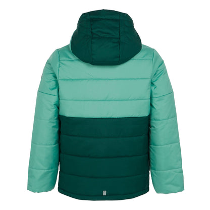 Dusty Green-Rainforest - Back - Regatta Childrens-Kids Lofthouse VIII Insulated Jacket