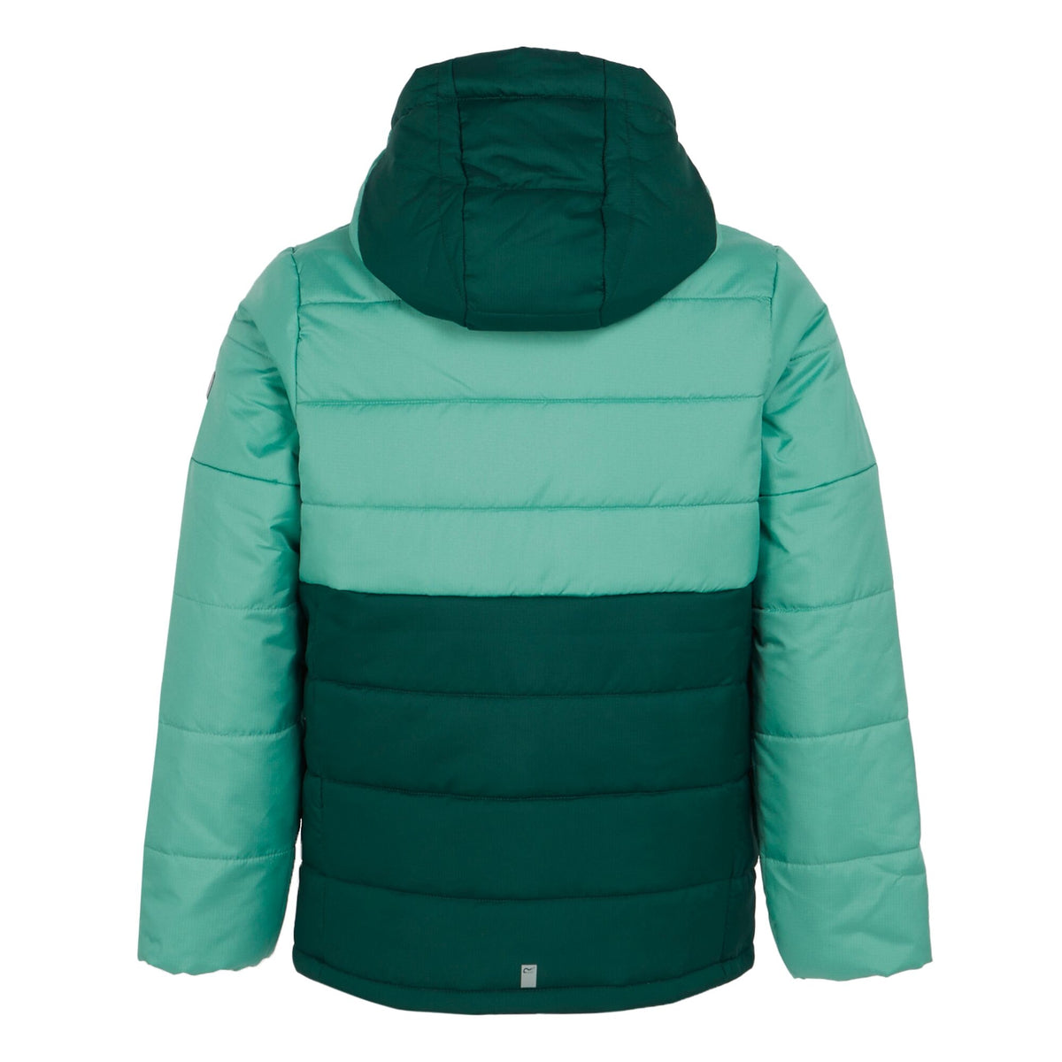 Dusty Green-Rainforest - Back - Regatta Childrens-Kids Lofthouse VIII Insulated Jacket