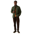 Dark Khaki - Lifestyle - Regatta Mens Wilnor Padded Jacket