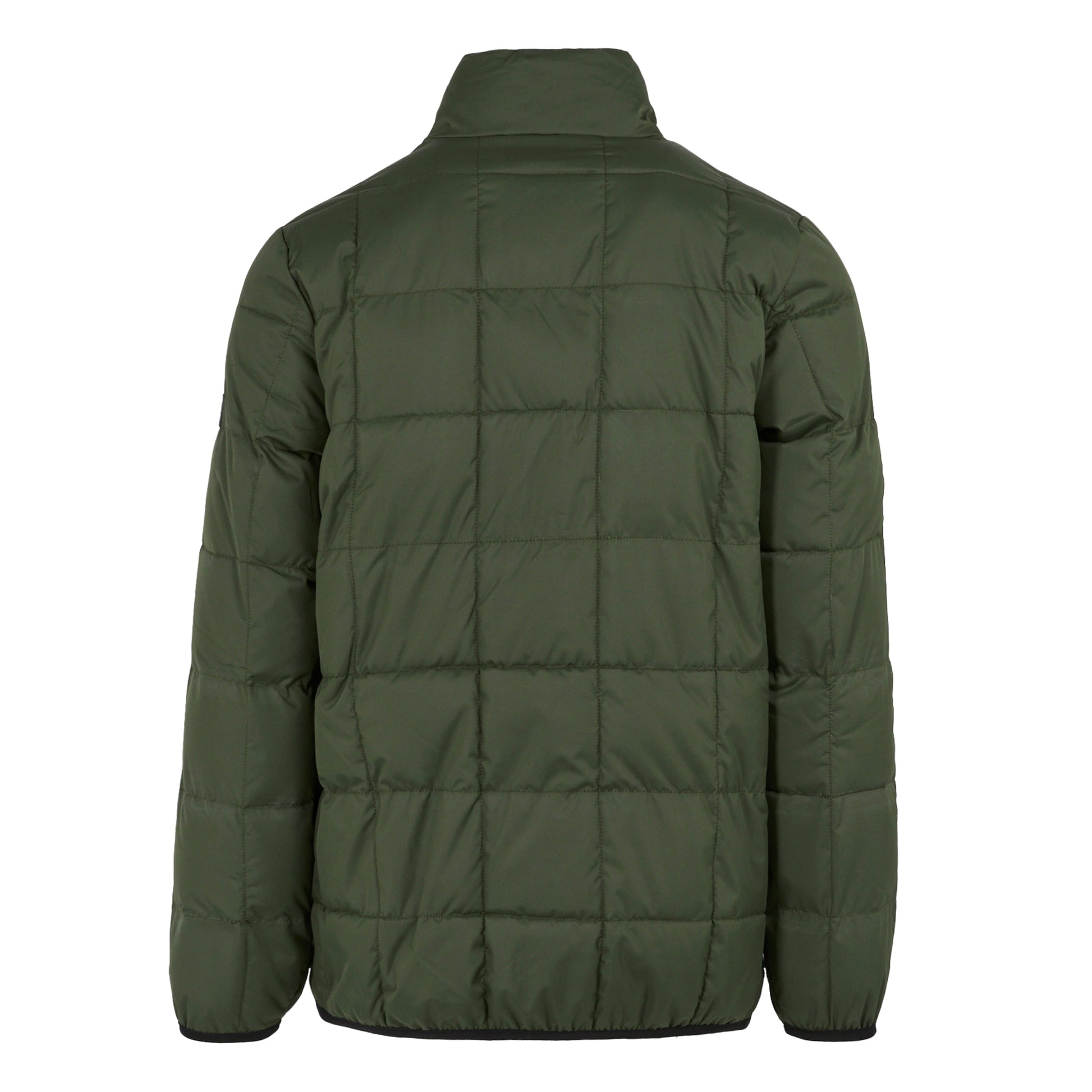 Dark Khaki - Back - Regatta Mens Wilnor Padded Jacket