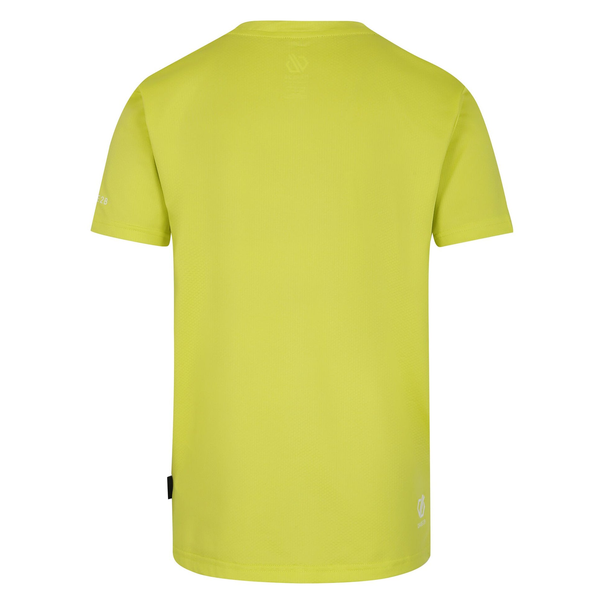 Neon Spring - Back - Dare 2B Childrens-Kids Amuse II Skateboard T-Shirt
