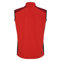 Tuscan Red-Black - Back - Dare 2B Mens Lattitudinal II Gilet