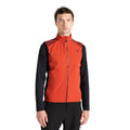 Tuscan Red-Black - Lifestyle - Dare 2B Mens Lattitudinal II Gilet