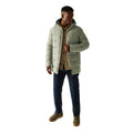 Golden Sand - Lifestyle - Regatta Mens Lakiver Padded Jacket