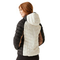 Black-Blanc De Blanc - Lifestyle - Regatta Womens-Ladies Dalent Quilted Hooded Jacket