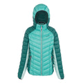 Rainforest-Dusty Green - Front - Regatta Womens-Ladies Dalent Quilted Hooded Jacket