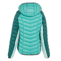 Rainforest-Dusty Green - Back - Regatta Womens-Ladies Dalent Quilted Hooded Jacket