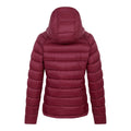 Fig - Back - Dare 2B Womens-Ladies Torrek Baffled Padded Jacket