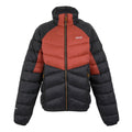Red Ochre-Black - Front - Regatta Mens Dalent Padded Jacket