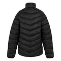 Black - Back - Regatta Mens Dalent Padded Jacket