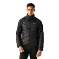 Black - Side - Regatta Mens Dalent Padded Jacket