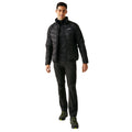 Black - Lifestyle - Regatta Mens Dalent Padded Jacket