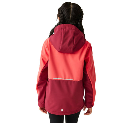 Red Sky-Rumba Red - Lifestyle - Regatta Childrens-Kids Haydenbury II Soft Shell Jacket