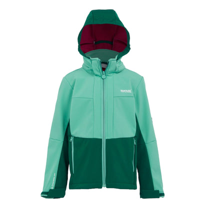 Dusty Green-Rainforest - Front - Regatta Childrens-Kids Haydenbury II Soft Shell Jacket