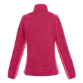 Flamingo Pink - Back - Regatta Womens-Ladies Highton IV Full Zip Fleece Jacket