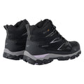 Black-Purple Sage - Lifestyle - Regatta Womens-Ladies Holcombe III Walking Boots