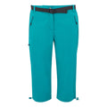 Exotic Plume - Front - Regatta Womens-Ladies Xert Stretch Casual Shorts