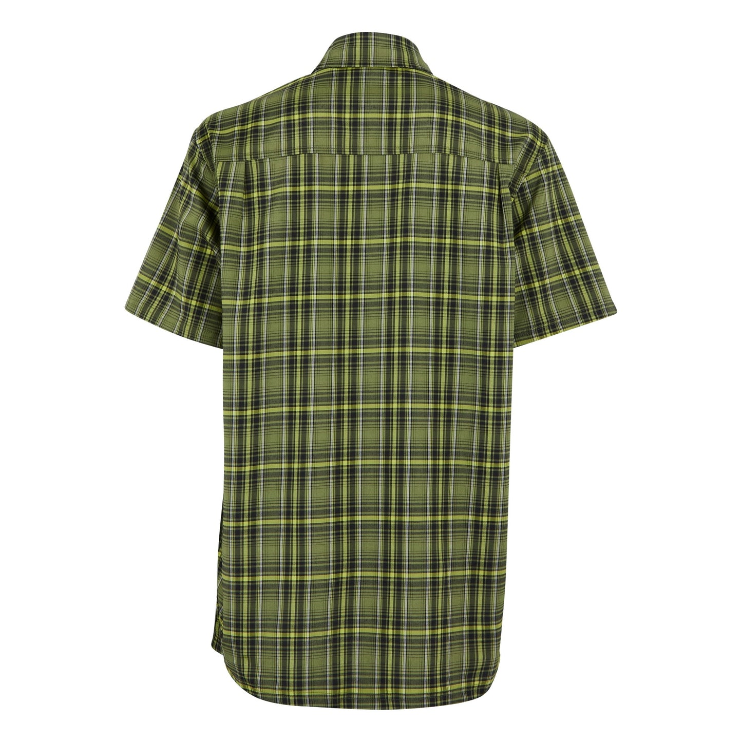 Nephrite Green-Black - Back - Regatta Mens Begarno Checked Short-Sleeved Shirt