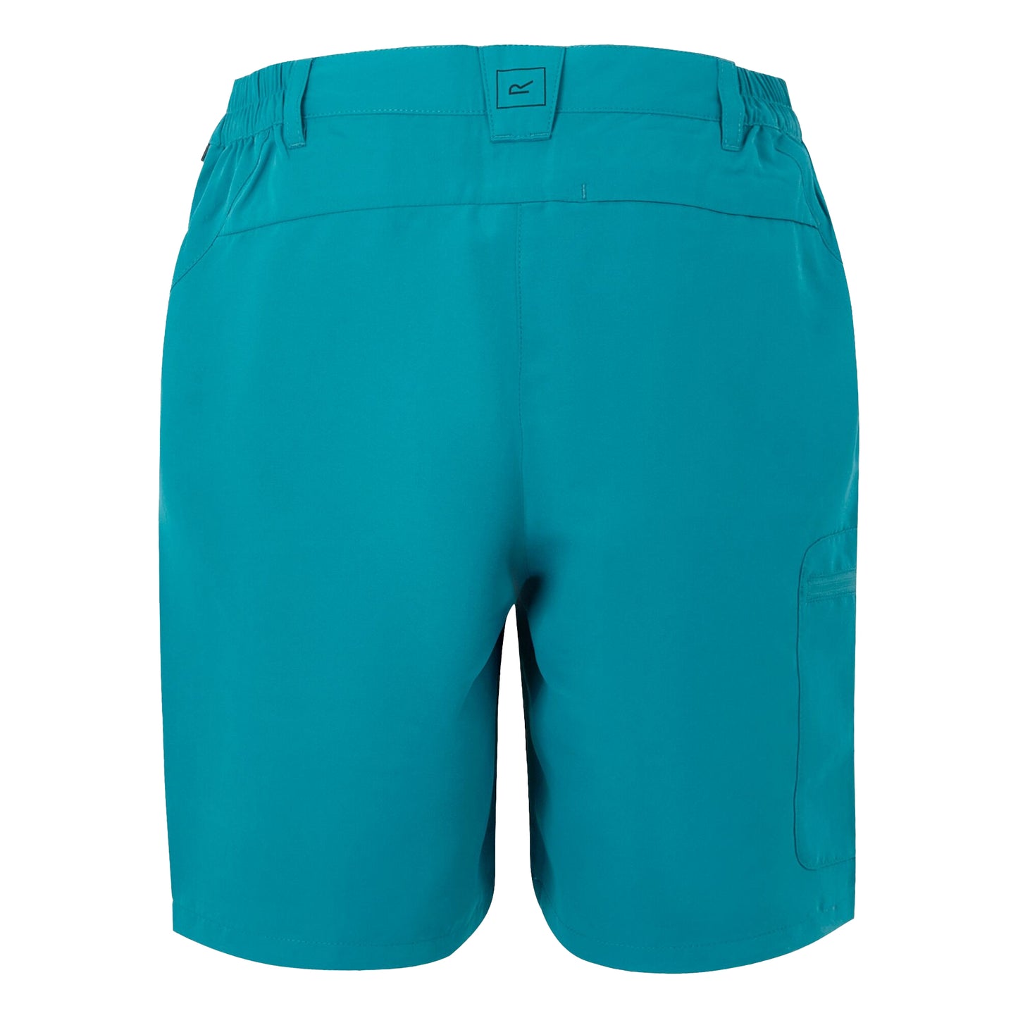 Exotic Plume - Back - Regatta Womens-Ladies Chaska III Walking Shorts