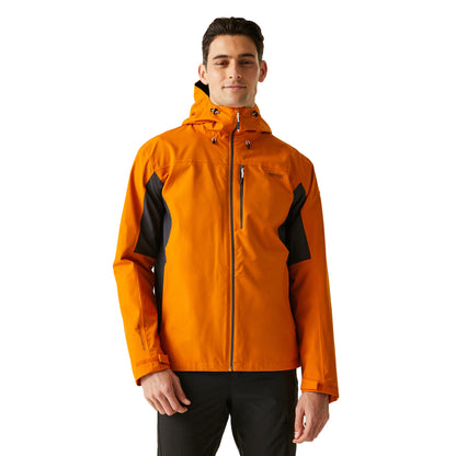 Fox-Ash - Lifestyle - Regatta Mens Birchdale II Waterproof Jacket