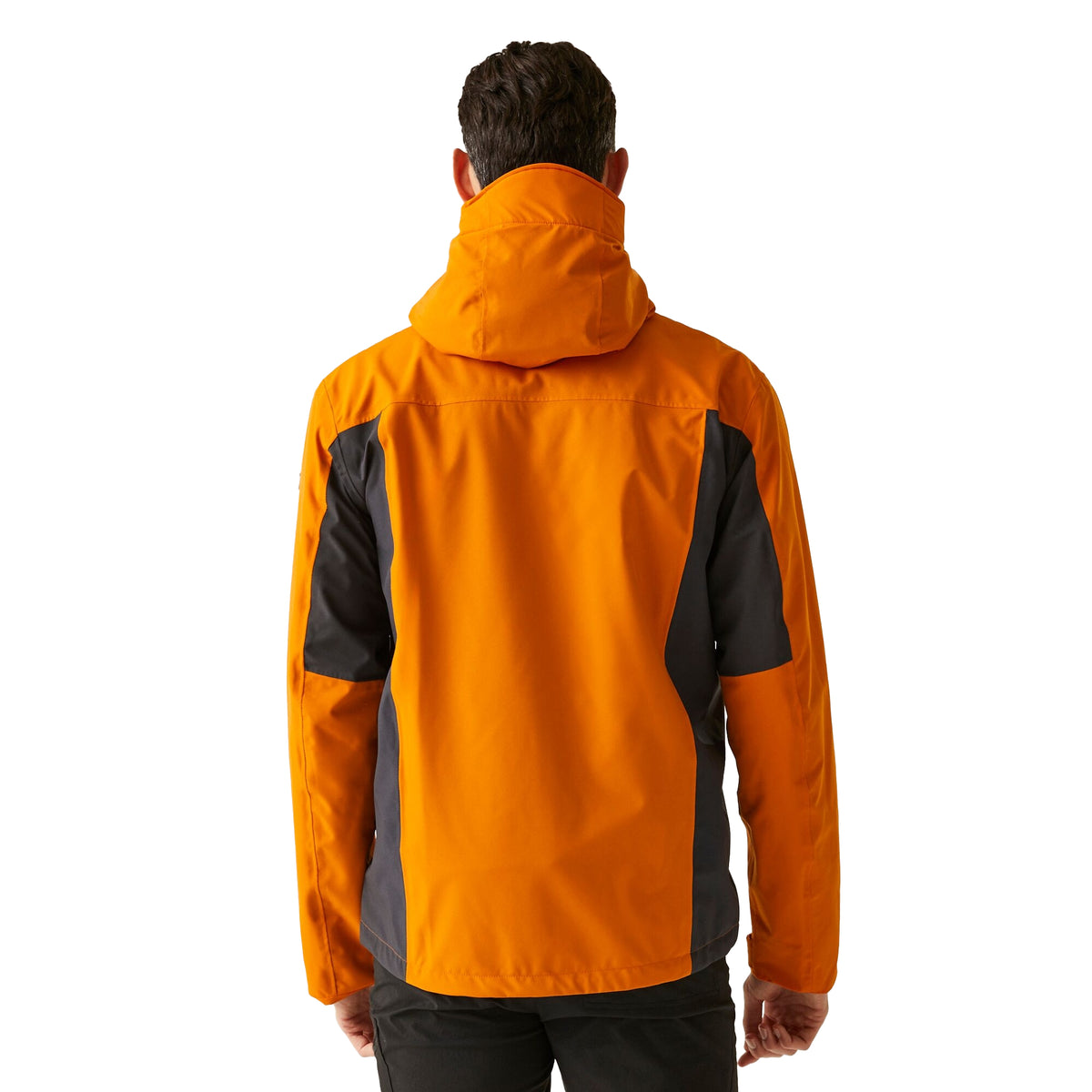 Fox-Ash - Pack Shot - Regatta Mens Birchdale II Waterproof Jacket