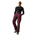 Fig - Lifestyle - Dare 2B Mens Baseplate II Ski Trousers