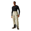 Abbeystone - Lifestyle - Dare 2B Mens Baseplate II Ski Trousers
