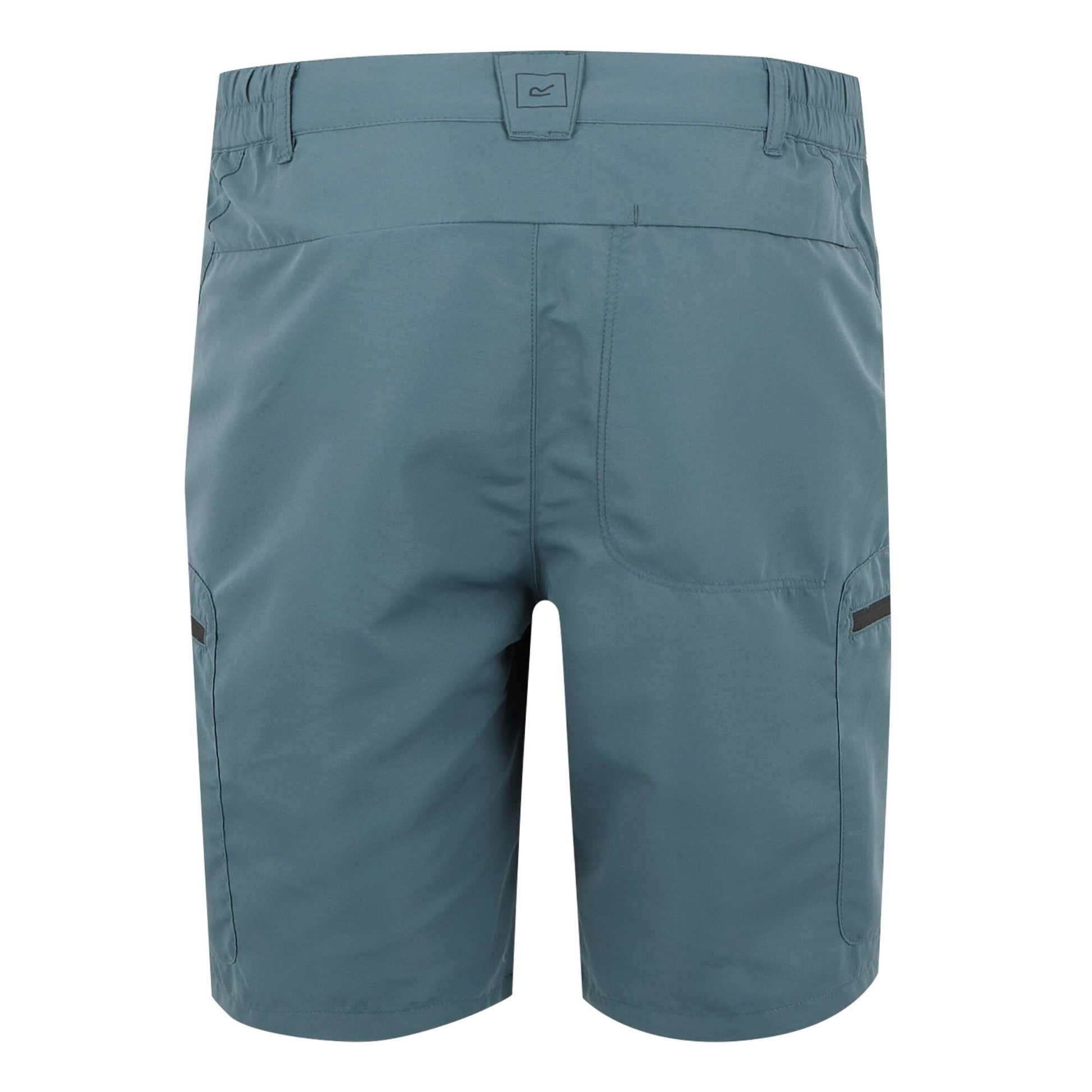 Stormy Weather - Back - Regatta Mens Leesville III Shorts