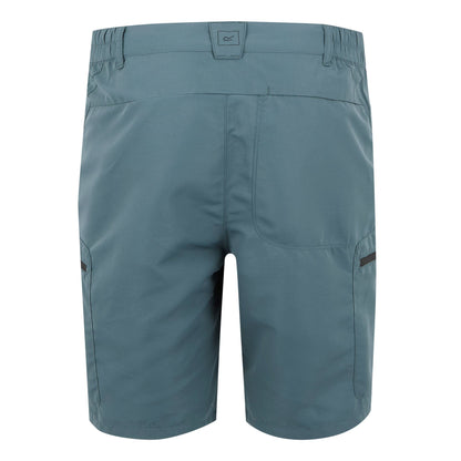 Stormy Weather - Back - Regatta Mens Leesville III Shorts