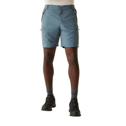 Stormy Weather - Lifestyle - Regatta Mens Leesville III Shorts