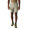 Golden Sand - Lifestyle - Regatta Mens Leesville III Shorts
