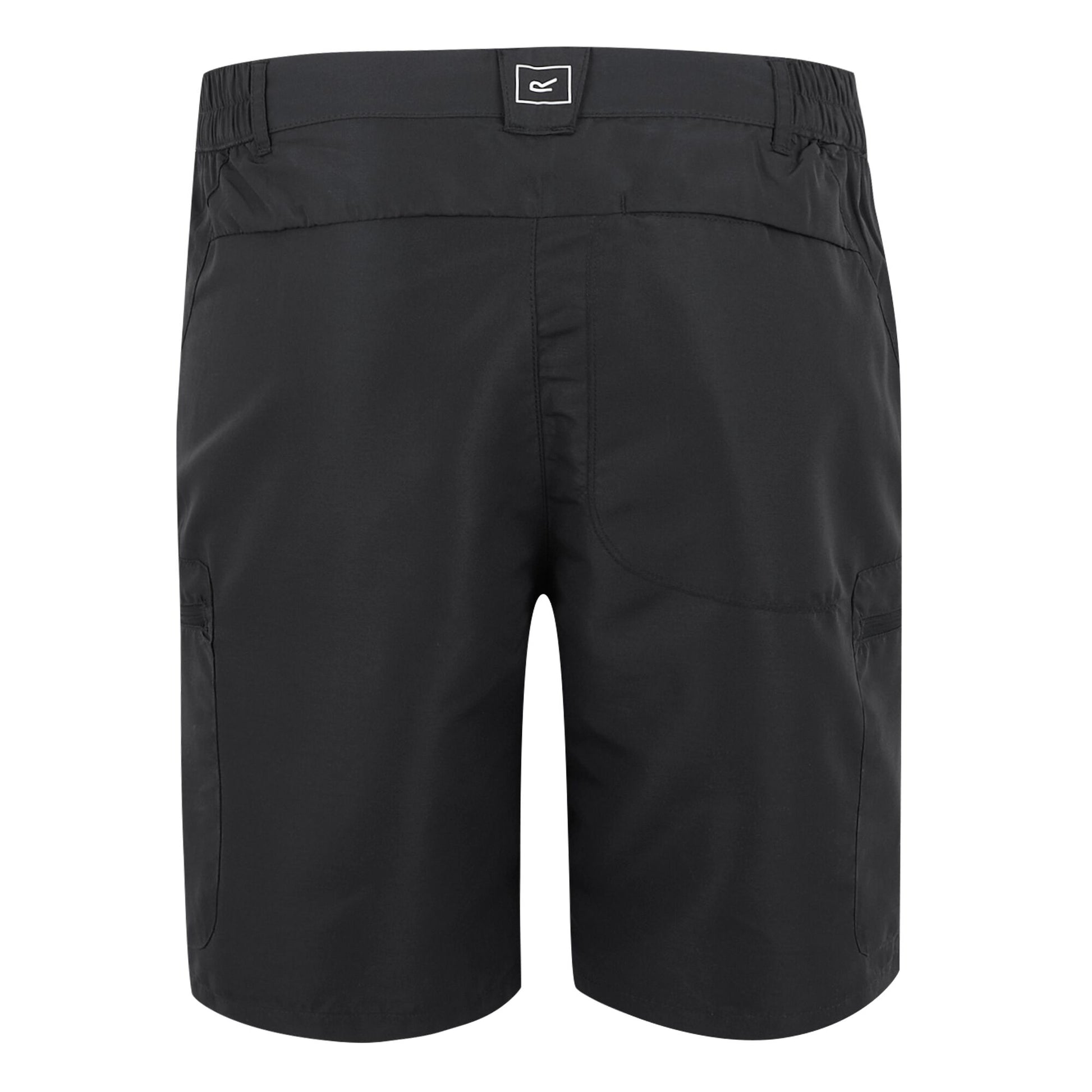 Ash - Back - Regatta Mens Leesville III Shorts