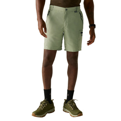 Light Sage - Lifestyle - Regatta Mens Leesville III Shorts