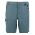 Stormy Weather - Front - Regatta Mens Leesville III Shorts