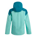 Aruba Blue-Exotic Plume-Icy Morn - Back - Regatta Childrens-Kids Highton VI Waterproof Jacket