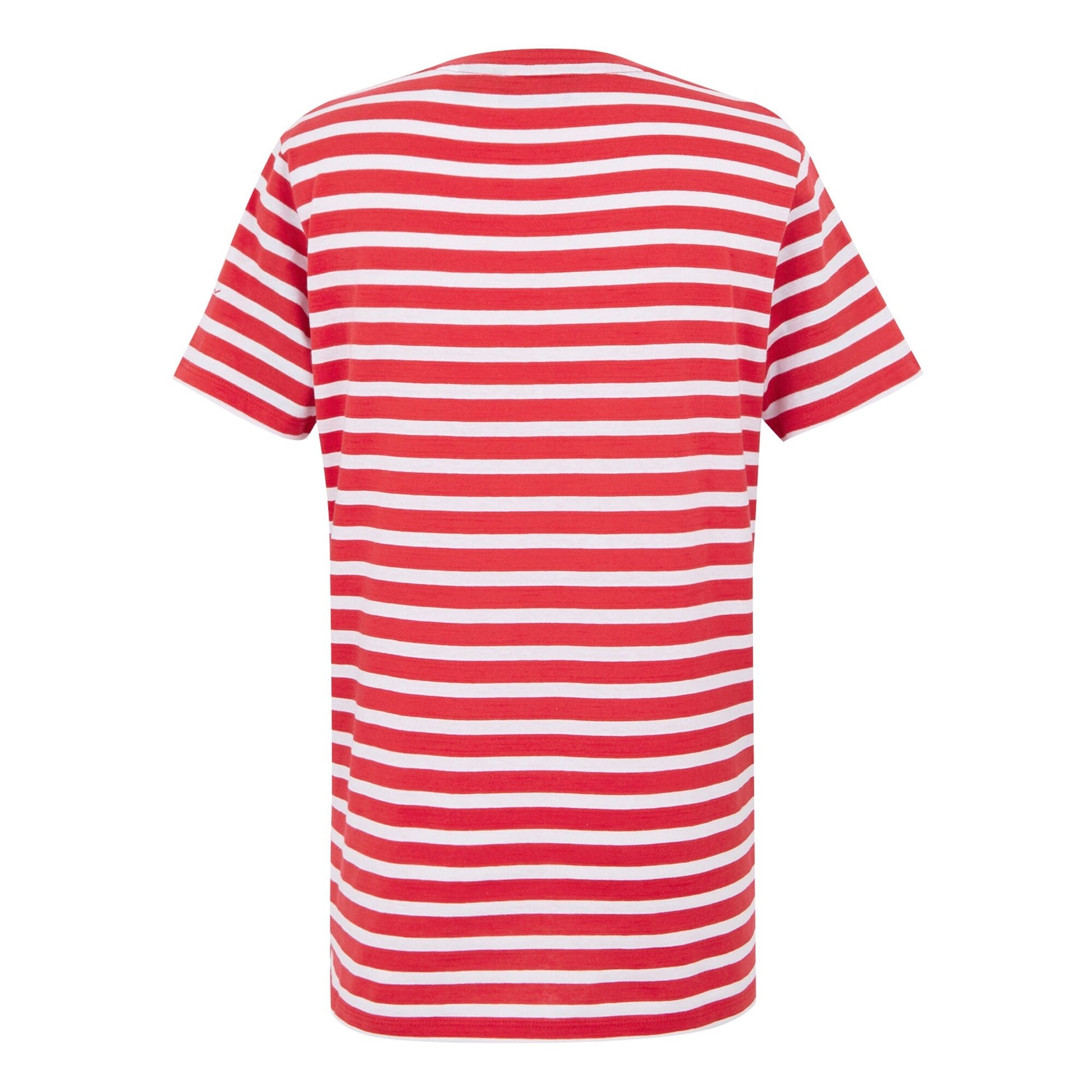 High Risk Red-White - Back - Regatta Womens-Ladies Bayletta Striped T-Shirt