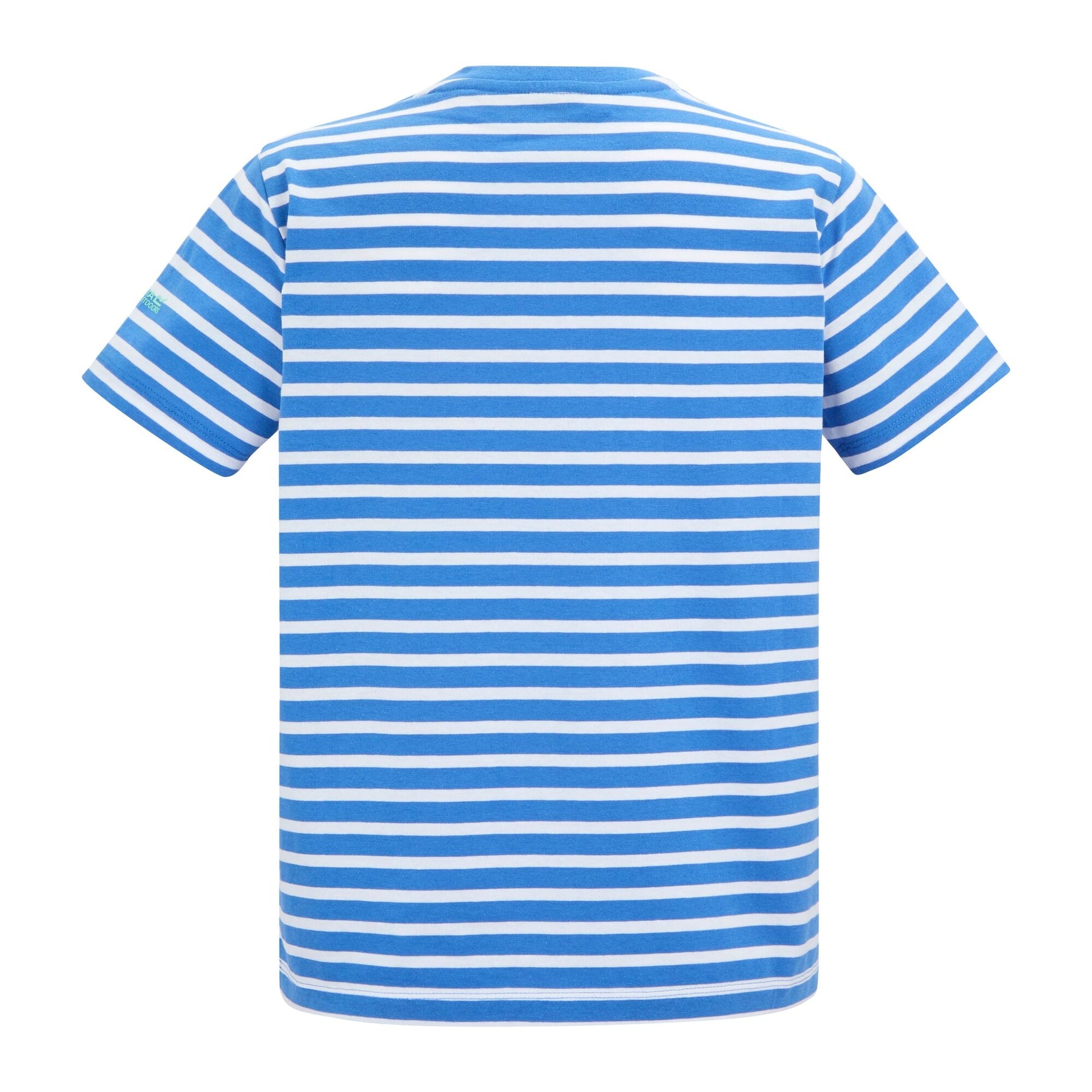 Sonic Blue-White - Back - Regatta Womens-Ladies Bayletta Striped T-Shirt
