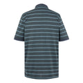 Stormy Weather - Back - Regatta Mens Kildra Polo Shirt
