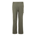 Treetop - Back - Regatta Mens Highton II Hiking Trousers