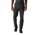 Ash - Lifestyle - Regatta Mens Highton II Hiking Trousers