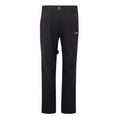 Ash - Back - Regatta Mens Highton II Hiking Trousers