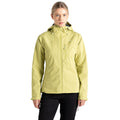 Bamboo - Lifestyle - Dare 2B Womens-Ladies Torrek II Waterproof Jacket