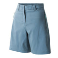 Element Grey - Side - Dare 2B Womens-Ladies Torrek Shorts
